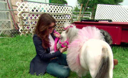 Watch The Real Housewives of Beverly Hills Online: Horsing Around 