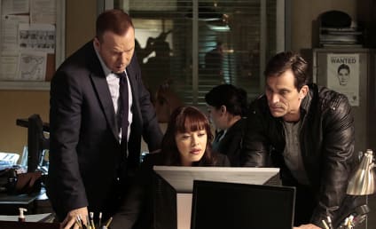 Blue Bloods Season 6 Episode 19 Review: Blast From the Past