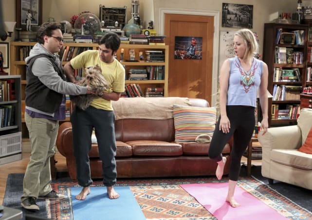 the big bang theory season 2 episode 19 watch-tv