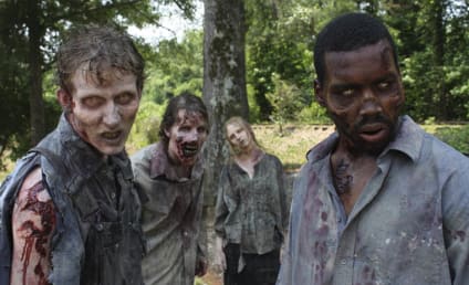 The Walking Dead Season Two Tease: Zombies and Romance! Premiere Date!