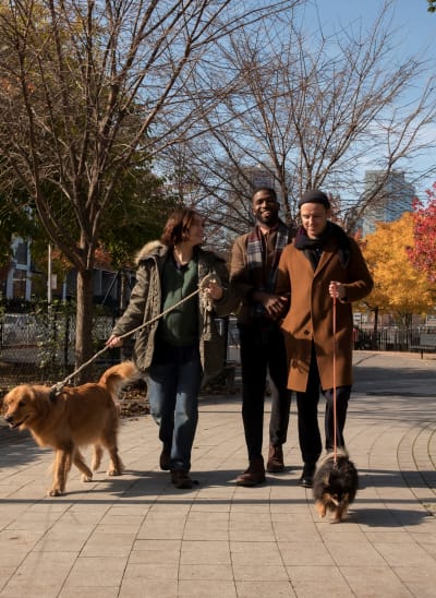 A Thoroughly Modern Family