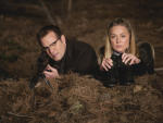 Stakeout