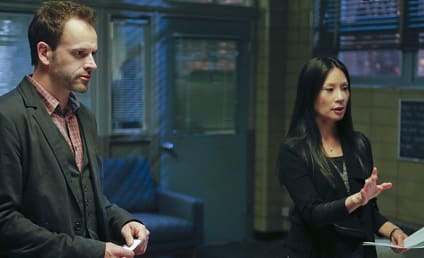 Elementary Review: A Matter of Perception