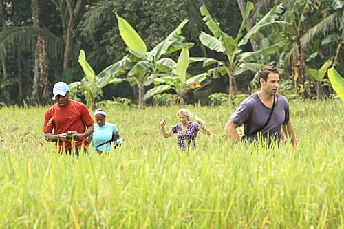 On a Indonesian Farm