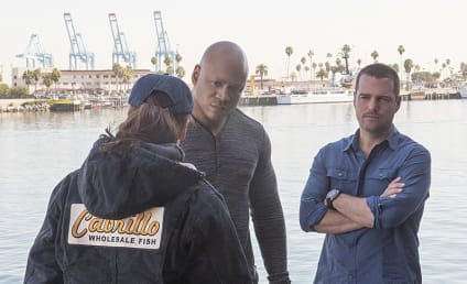 NCIS: Los Angeles Review: Red Herring