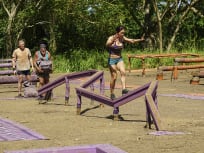 Survivor Season 33 TV Fanatic