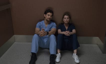 Grey's Anatomy Season 15 Episode 9 Review: Shelter From the Storm
