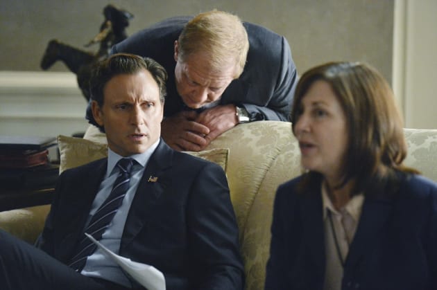 News for Fitz