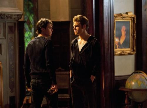 Feuding Siblings