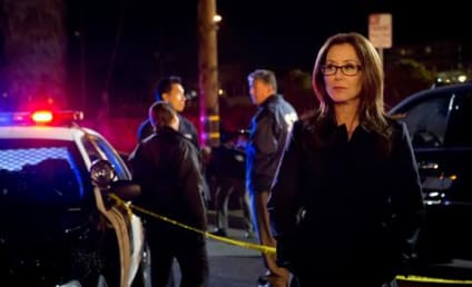 Mary McDonnell Previews Major Crimes Season 2, Introduction of Sharon's Ex-Husband