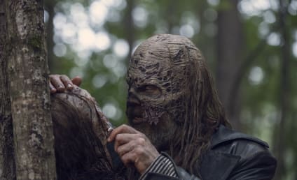 The Walking Dead Season 9 Episode 12 Review: Guardians