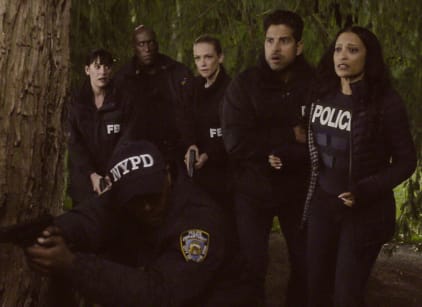 Putlocker criminal best sale minds season 13