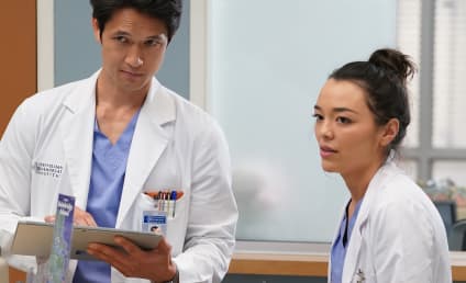 TV Ratings: Grey's Anatomy Rises, Alaska Daily Flat With Season (Series?) Finale