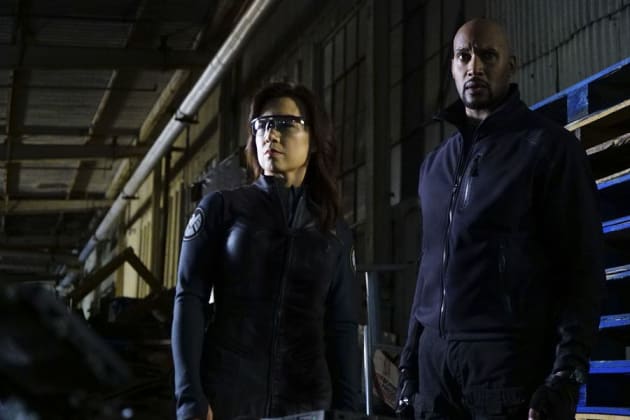 Marvel's agents top of shield putlocker