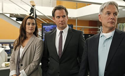 NCIS Review: The Eyeball, Rule #12 and the Rhinoceros in the Room
