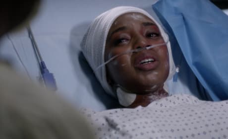 Grey's anatomy season 13 top episode 24 watch online