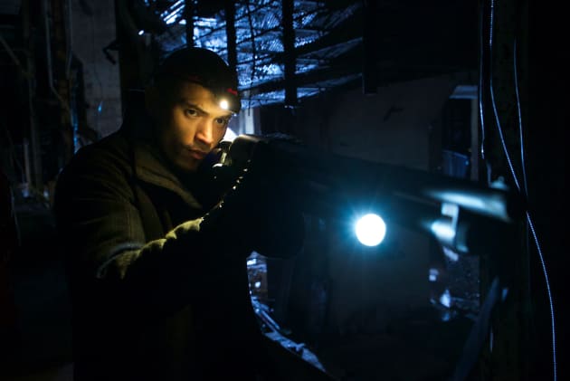 Fighting for Freedom - The Strain