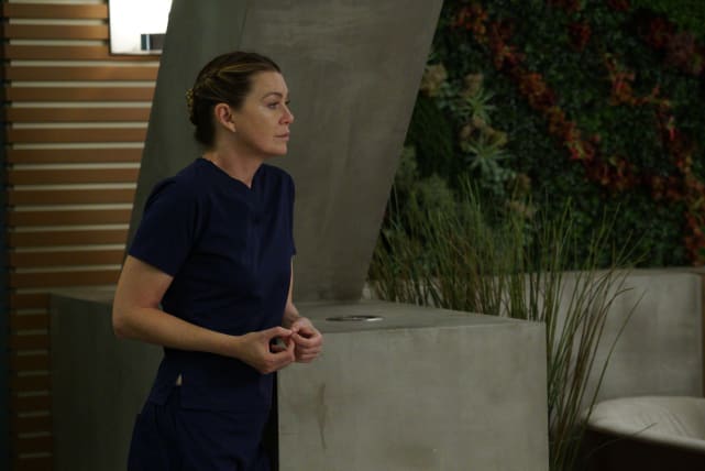 Half the Job is Waiting - Grey's Anatomy Season 14 Episode 9