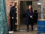Liz Enters Tom's Lair
