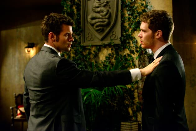 Brothers Maybe Bonding