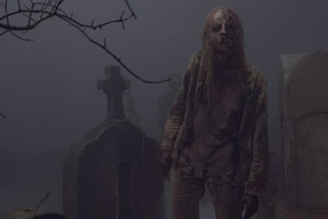 Most Interesting Development - The Whisperers