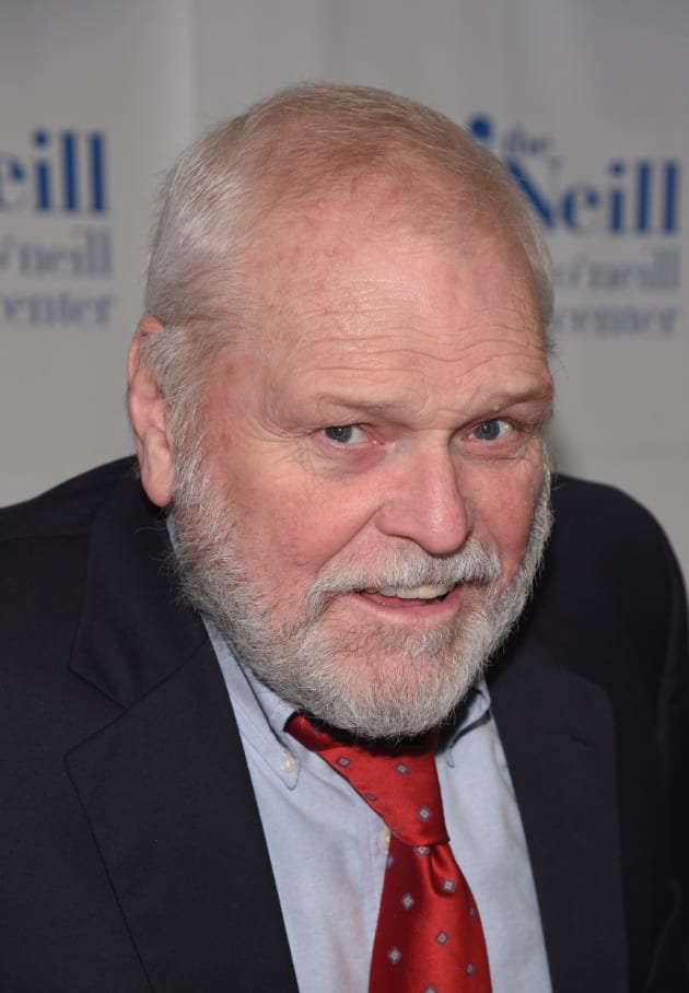 Brian Dennehy Dies Beloved Dynasty and M*A*S*H Actor Was 81 TV Fanatic