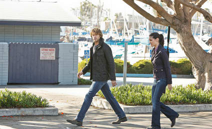 NCIS: Los Angeles Photo Preview: Partners Reunited