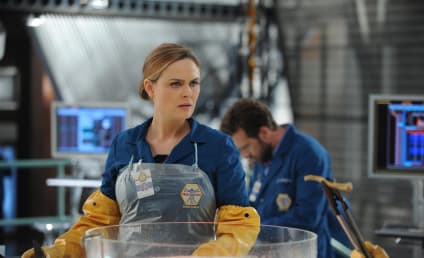 Bones Picture Preview: A New Arrival