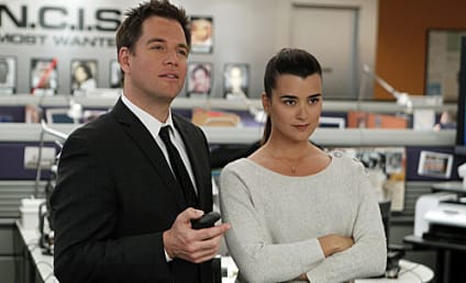 NCIS to Explore Love ... in an Elevator?