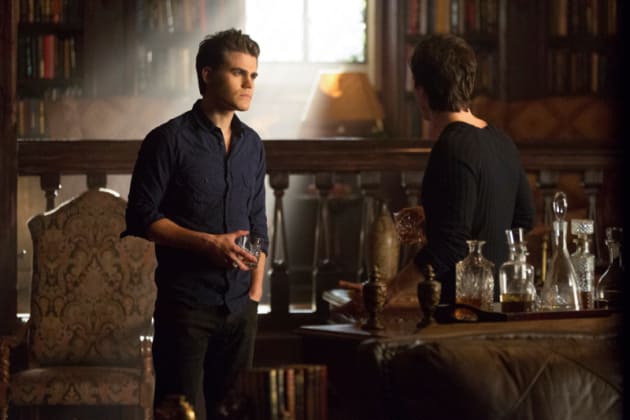 Salvatores Confer