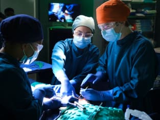 Good doctor season cheap 3 episode 19 online