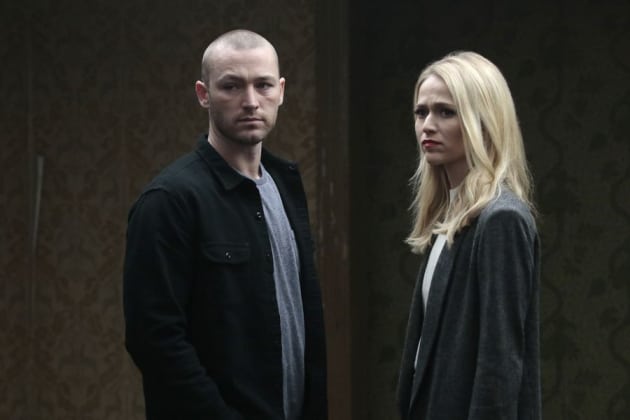 Shelby Goes Undercover - Quantico