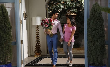Jane the Virgin Season 1 Episode 17 Review: Chapter Seventeen