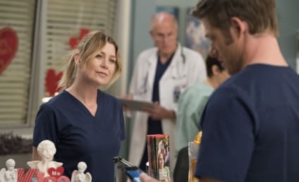 Grey's Anatomy Round Table: Find Someone Who'll Build You A Treehouse!