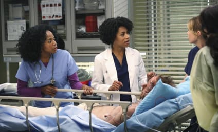 Grey's Anatomy Season 11 Premiere Photos: Sister Act?