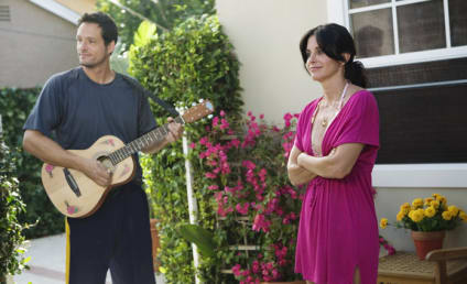 Production Halted on Cougar Town