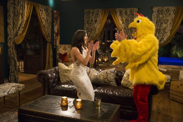 New Suitors - The Bachelorette