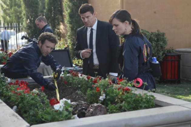Advanced Gardening