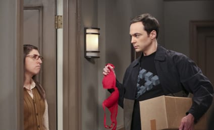 The Big Bang Theory Producer Teases Sheldon Sex Shocker