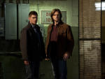 The Zombie Investigation