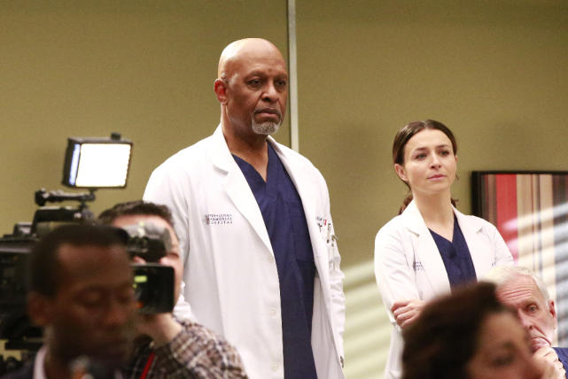 What Did I Miss? - Grey's Anatomy Season 13 Episode 21