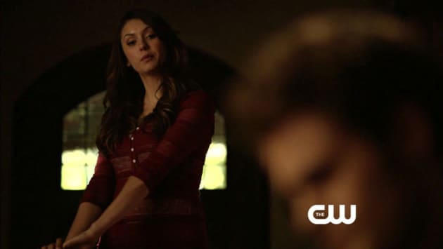 An Eye On Stefan Tv Fanatic