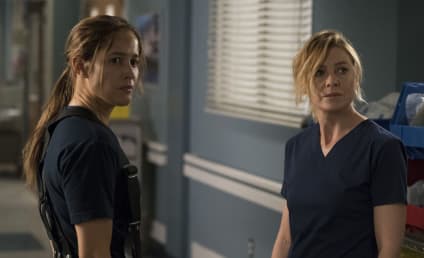 Grey's Anatomy and Station 19 Are Staging Another Crossover!