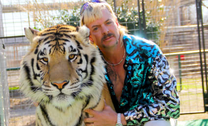 Nicolas Cage Nabs Role of a Lifetime as Joe Exotic in Scripted Series! 