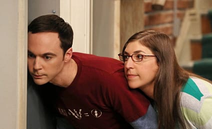 The Big Bang Theory Review: Firm and Perky