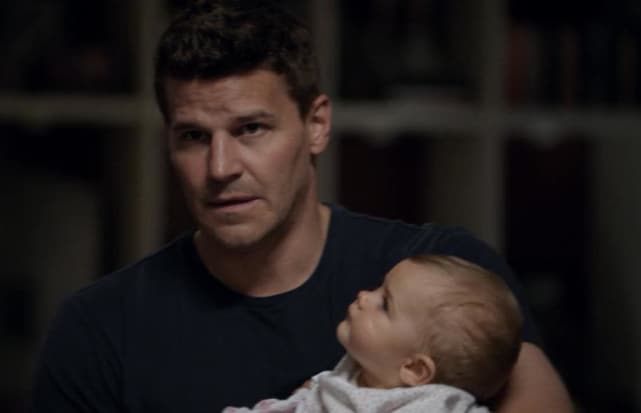 Seeley Booth (Bones)