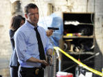 Danny Reagan on the Job