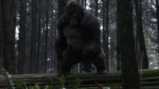 The Flash Season 3 Episode 13 Review Attack on Gorilla City TV