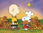 It's Thanksgiving, Chuck! - Charlie Brown Series
