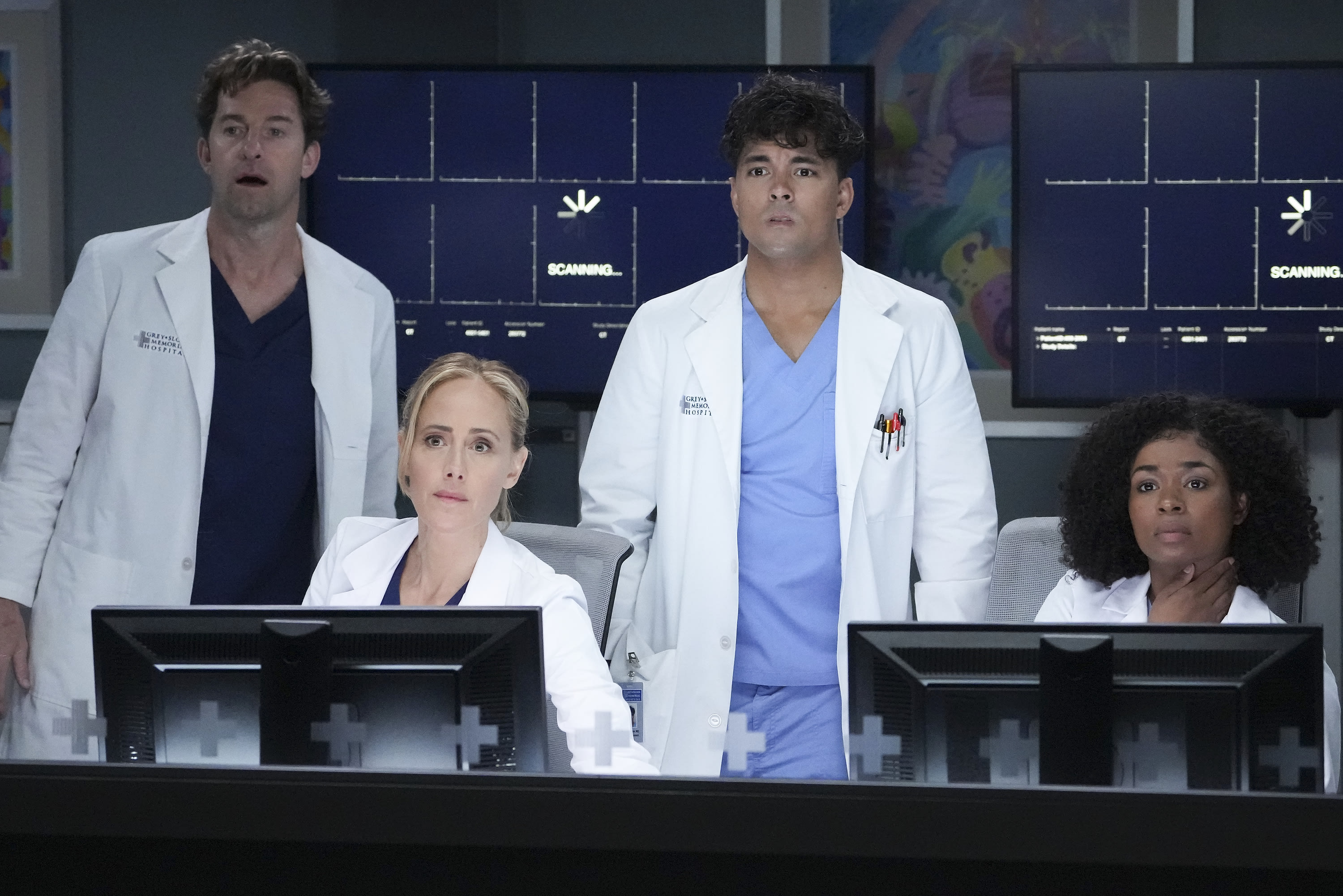 Grey's Anatomy season 20 will see at least five main cast members